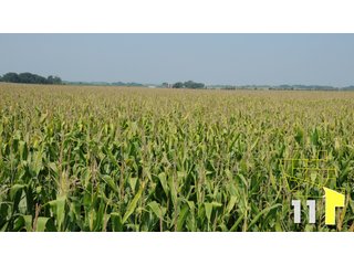 Property photo 39 - Land Auction - 3,379 Acres in 48 Tracts, 2,900 Acres Tillable, Large Contiguous Tracts - Investment Potential
